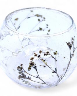 Portavelas de Vidrio floral natural Cuenco - Margarita - (8x10cm)