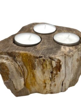 Portavelas de Madera Petrificada - Triple
