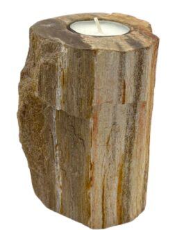 Portavelas de madera petrificada - Soltero alto