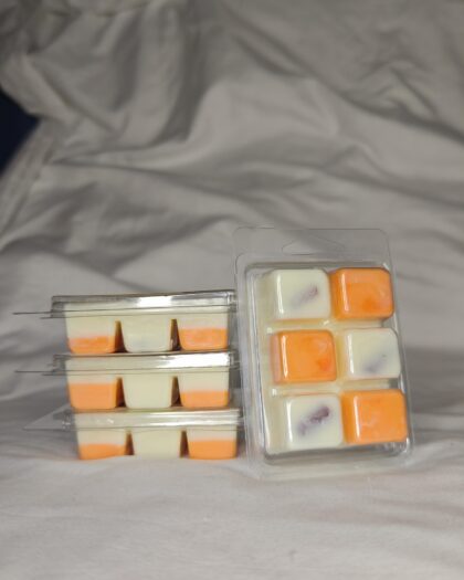 Wax Melts - Canela y Naranja