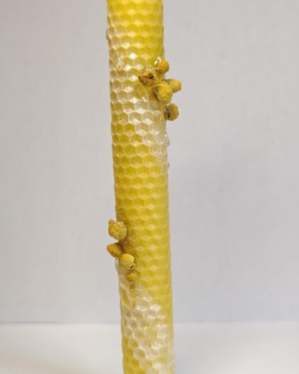 Vela Cera de Abeja - Protección y Limpieza