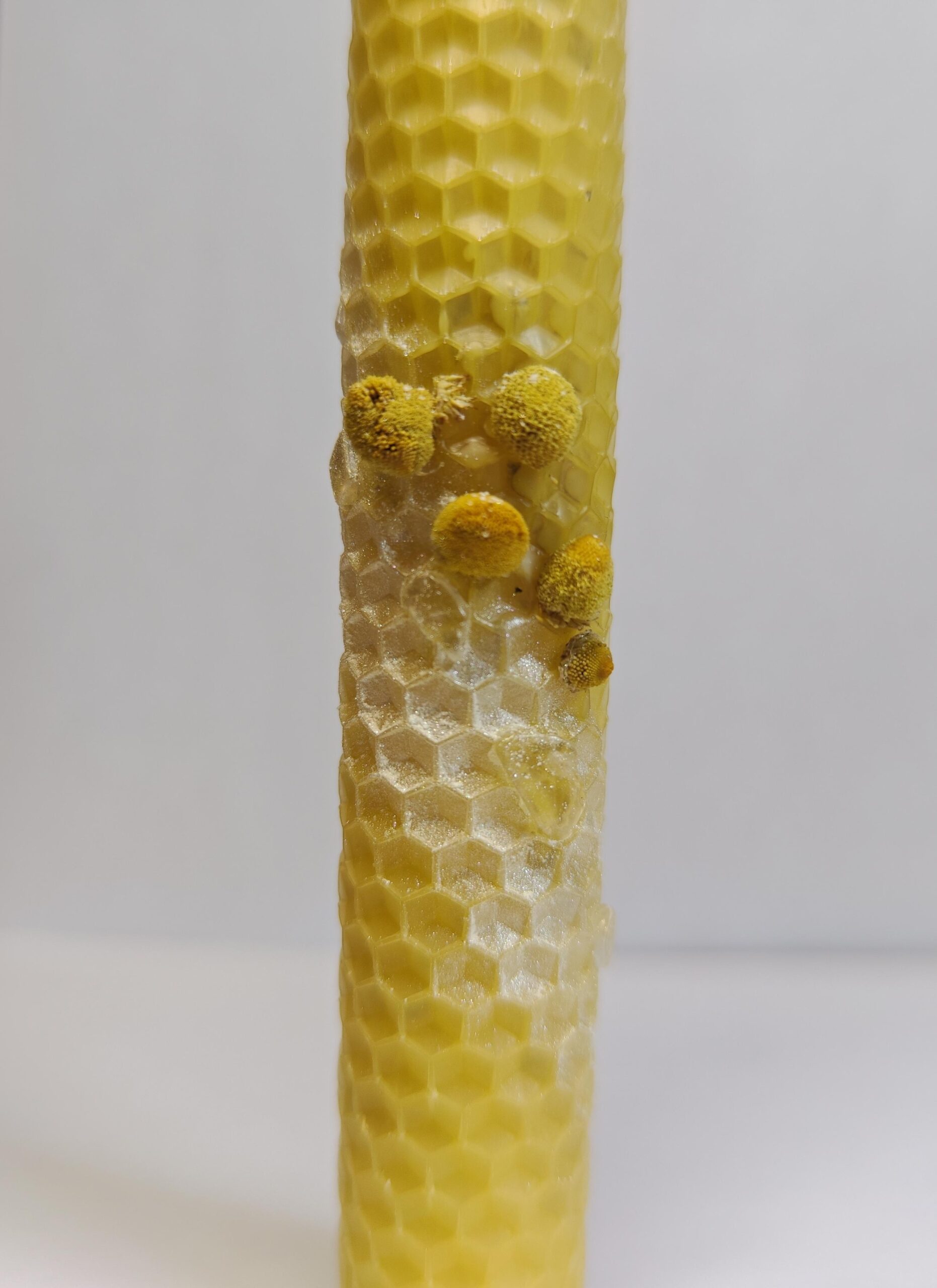 Vela Cera de Abeja - Protección y Limpieza - Imagen 6