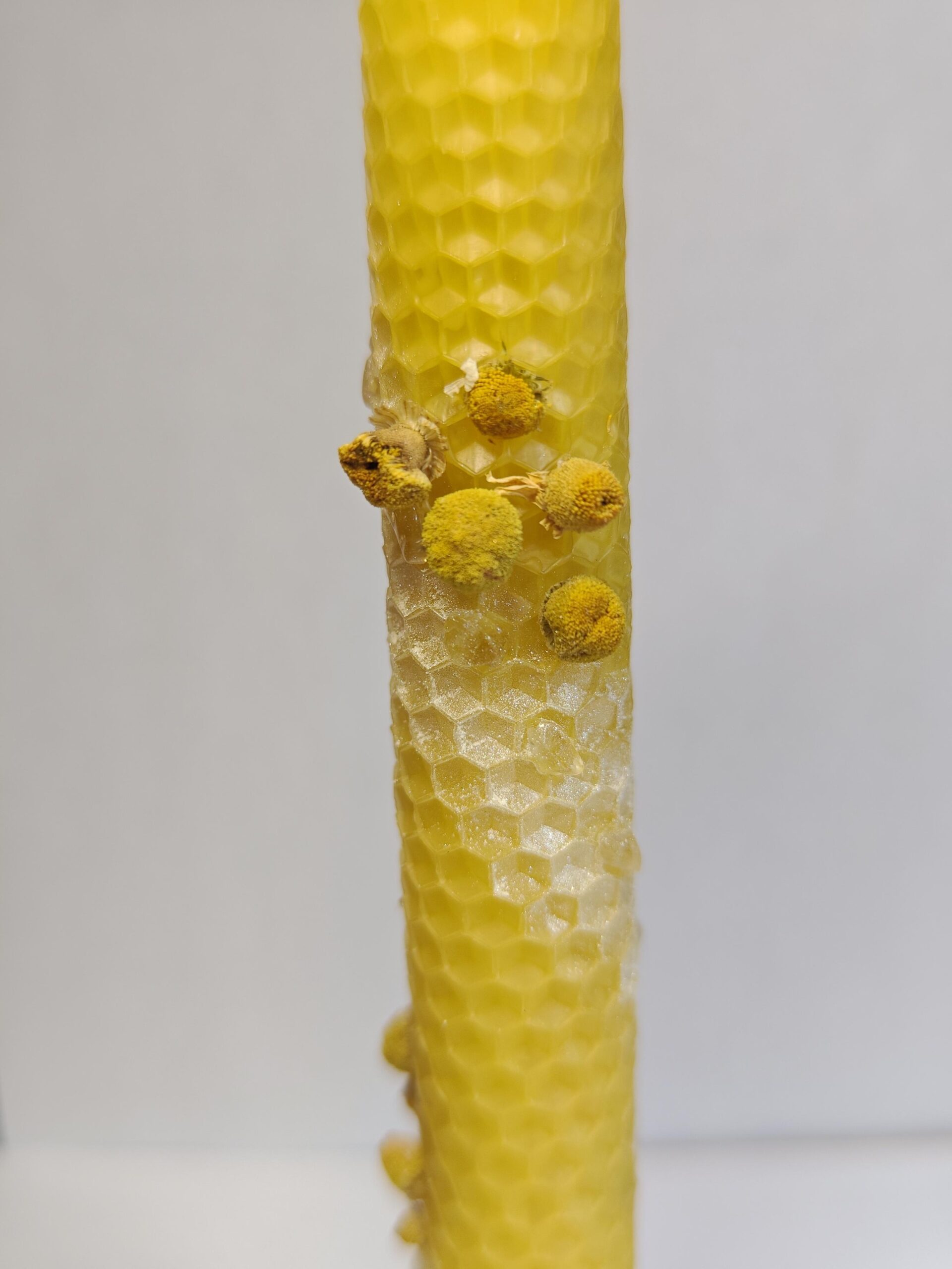 Vela Cera de Abeja - Protección y Limpieza - Imagen 5